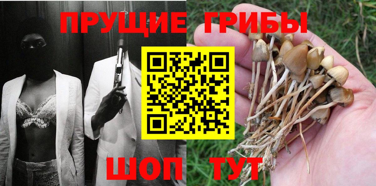 Псилоцибиновые грибы мухоморы  Вход с VPN  где найти наркотики  Самара 